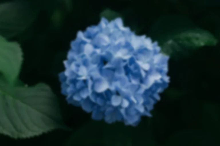 blur